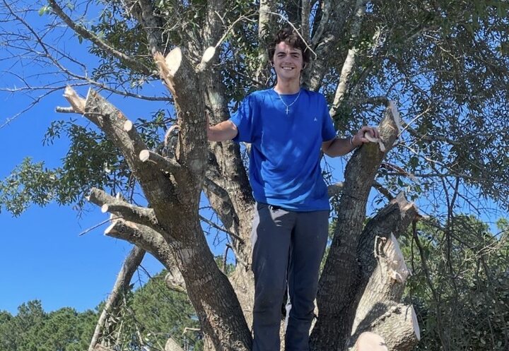 Ed Yannett cutting back a live oak on a job in Savannah